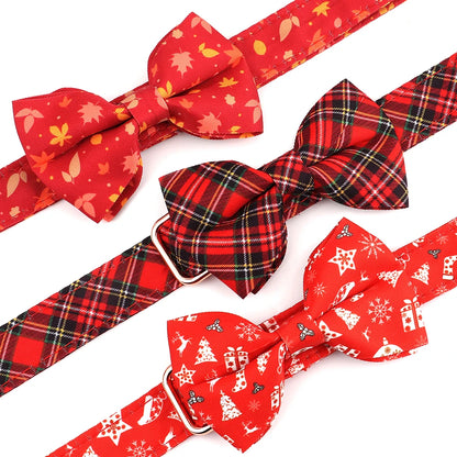 Personalised Festive Bow Tie and Flower Collar