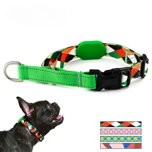 Nylon Slip / Martingale Dog Collar