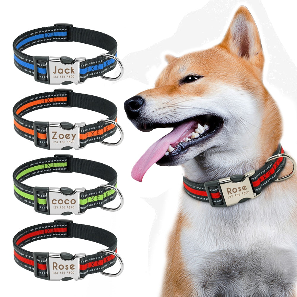 Personalised Nylon Dog Collar