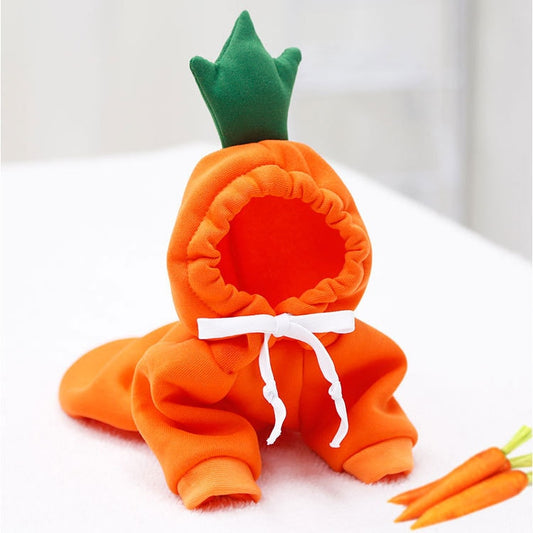 Carrot Hoody