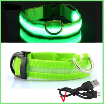 USB Rechargeable LED Light Up Dog Collar