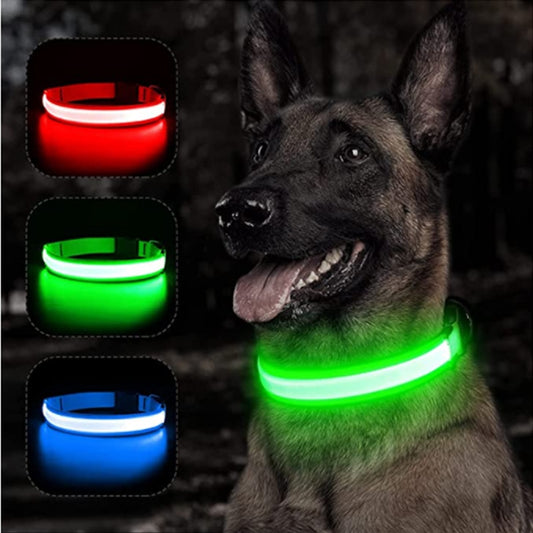 USB Rechargeable LED Light Up Dog Collar