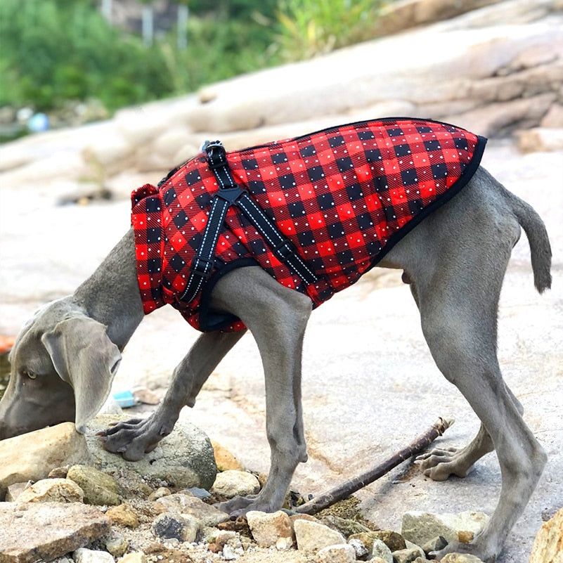 Waterproof Dog Coat with Harness & Fleece Lining