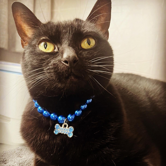 Adjustable Pearl Necklace Accessories for Cats