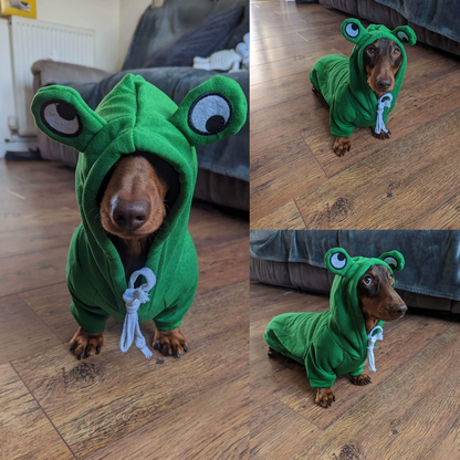 Frog Hoody