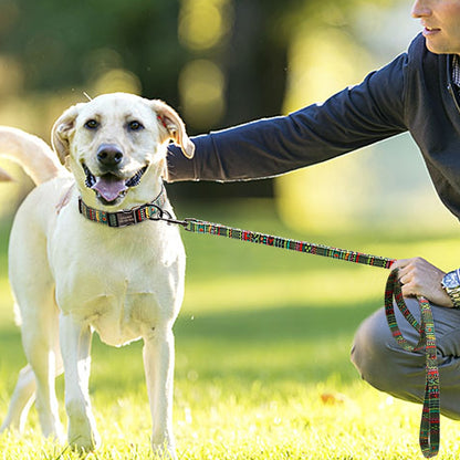 Personalised Tribal Nylon Dog Collar and Lead set