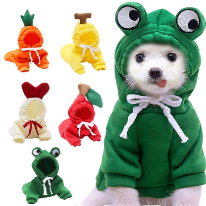 Frog Hoody