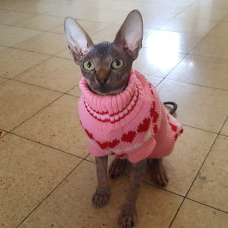 Pink store cat jumper