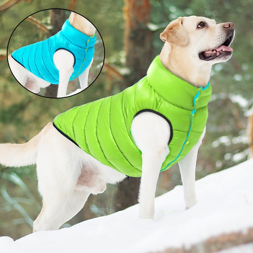 Reversible Padded Waterproof Dog Coat