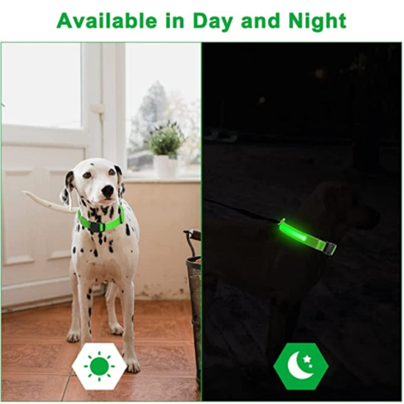 Battery Powered LED Light Up Dog Collar Humber Pets