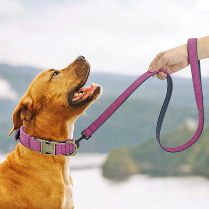 Personalised Vegan Leather Dog Collar & Lead Set